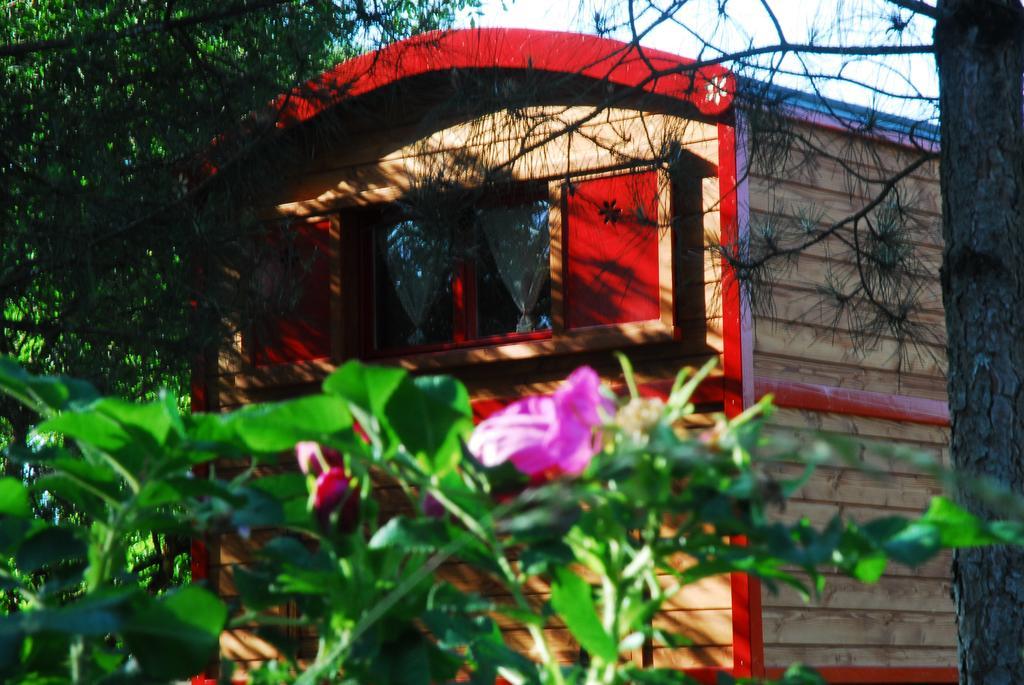 Gypsy Nature B&B Jumelles  Phòng bức ảnh